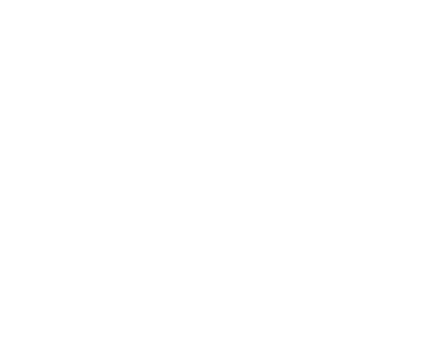 Selentic Group logo